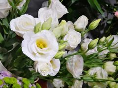 -何兮花店·气球派对鲜花店(马桥银春路万科城店)