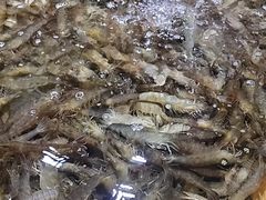 -聚盛源蒸汽海鲜火锅烤肉自助(巨川金海岸购物广场店)