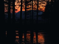 -四明湖