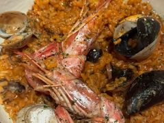 -TOMATITO(无限极荟店)