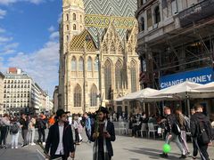 -斯蒂芬主教座堂(Stephansdom)