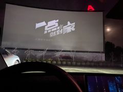 -枫花园汽车电影院(朝阳公园店)
