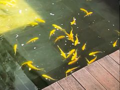 -觀芷隐轩