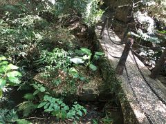 -滴水岩森林公园