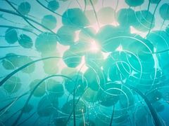 -万达广场(临港店)