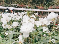 -人民公园(罗湖区)