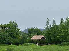 -良渚古城遗址公园