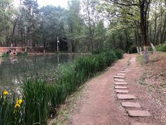 -云岗森林公园