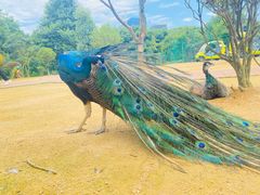 -杭州野生动物世界