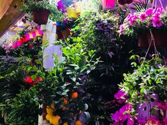 -三旗百汇商品城