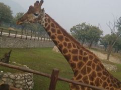 android_upload_pic-西安秦岭野生动物园