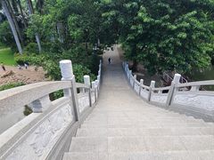 -荔枝公园(福田区)