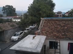 -柳沟豆腐宴69号福豆堂