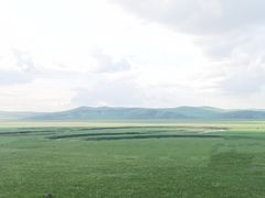 -夕阳红小吃(中街大悦城店)