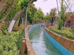 -苏州乐园森林水世界