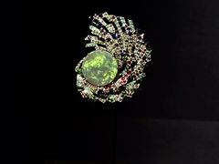 -美国自然历史博物馆