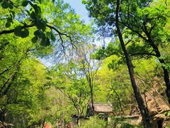 -北京上方山国家森林公园