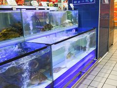 -大润发(国兴店)