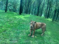 -北京野生动物园