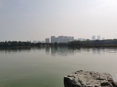 -洛阳市隋唐城遗址植物园