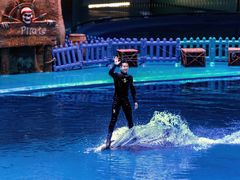 -华夏文旅海洋公园