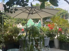 -花神·轻食简餐·咖啡馆·花卉绿植(荷兰花卉小镇店)