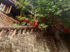 -重庆十八梯传统风貌区