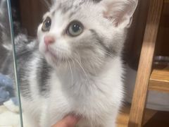 -美美宠物诊疗中心·异宠·骨科(滨江东信分院)