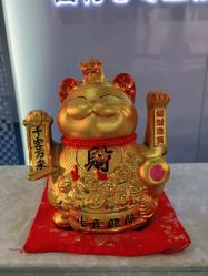 -蕾特恩专业祛痘国际连锁