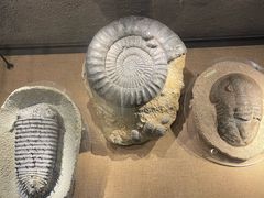 -中华赏石园
