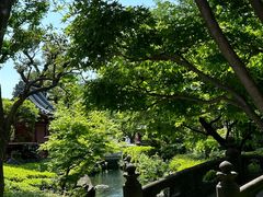 -浅草寺
