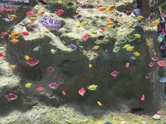 -苏州海洋馆