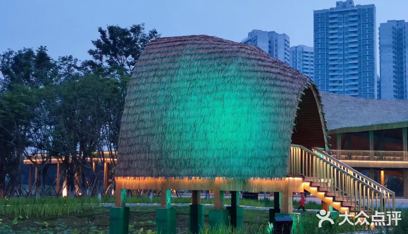 成都市区小众景点，向日葵花海。