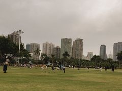 -白鹭洲公园