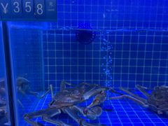 -启东小海鲜(庄先湾路1号店)