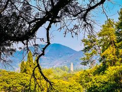 -韶山毛泽东同志故居