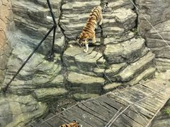 -大连森林动物园