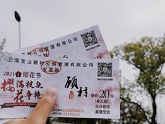 -顾村公园
