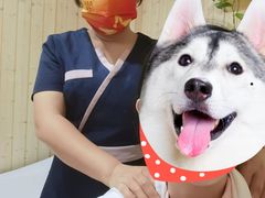 -养心阁足道馆(火宫殿一店)