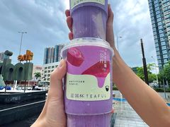 -星满杯TEAFUL(罗湖东门店)