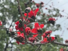 -东风公园