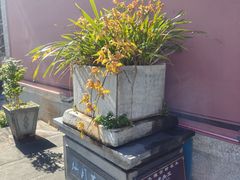 -大理文庙(大理古城)