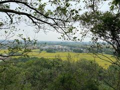 -上海佘山国家森林公园天马山园