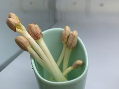 -朗丽兹自助餐厅