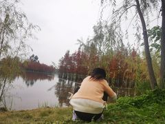 -白鹭湾湿地公园