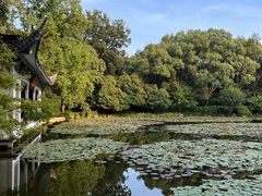 -杭州植物园