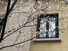 -颐和路民国时期公馆风貌区