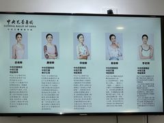 -中央芭蕾舞团·中芭艺蕾(酒仙桥明星校区)