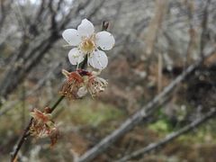 -福建天门山