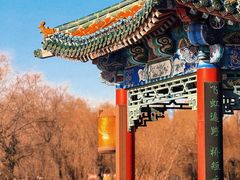 -长春市南湖公园